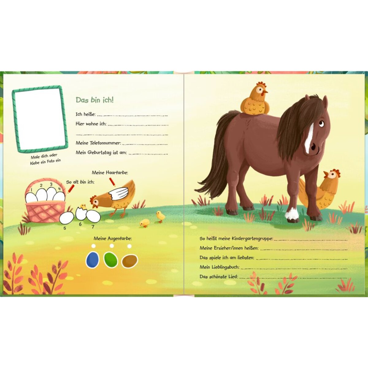 coppenrath-verlag-freundebuch-mit-ponymaehne-BC22B22D3.jpg