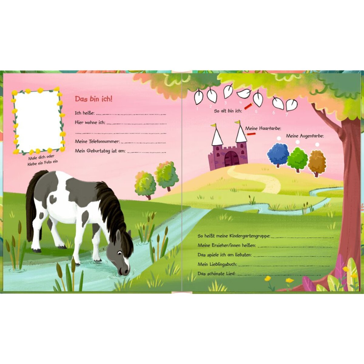 coppenrath-verlag-freundebuch-mit-ponymaehne-BC22B22D4.jpg