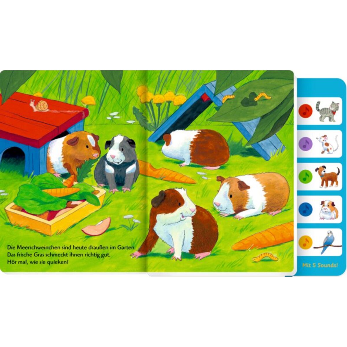 coppenrath-verlag-hoer-mal-wer-BB9C38912.jpg