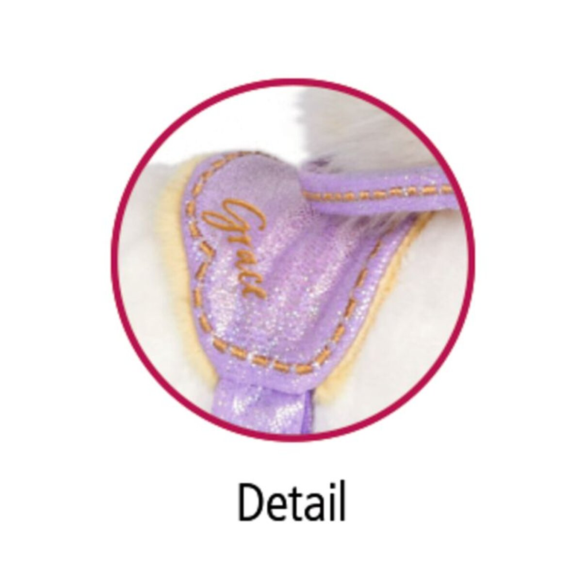 Coppenrath Verlag Kleines Pferd Grace - Pferdefreunde