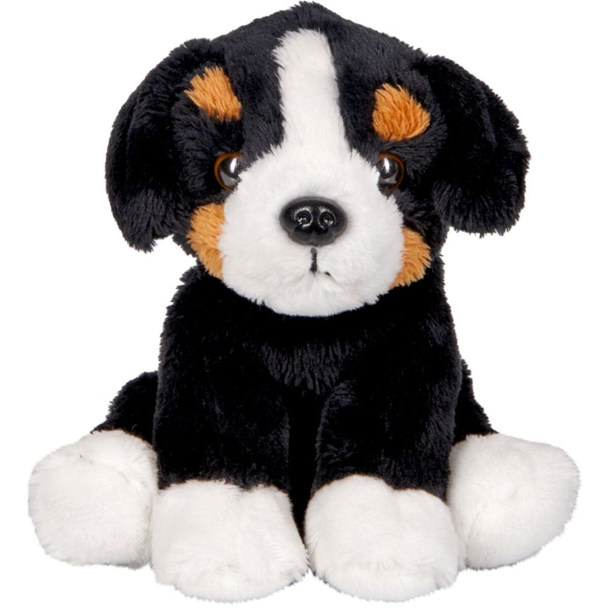die-spiegelburg-berner-sennenhund-bruno-FF49ECBF1.jpg