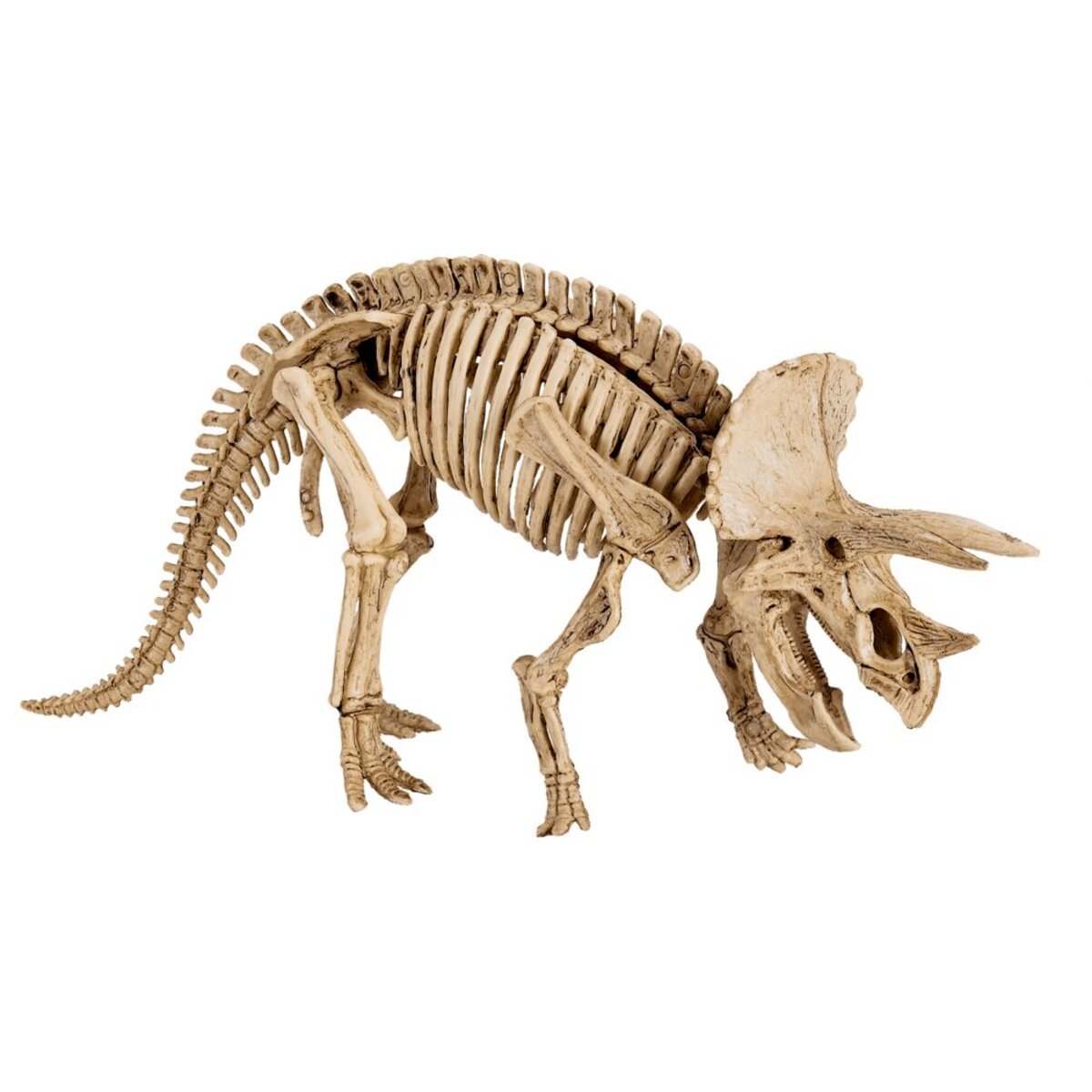 Die Spiegelburg Großes Ausgrabungsset Triceratops - T-Rex World