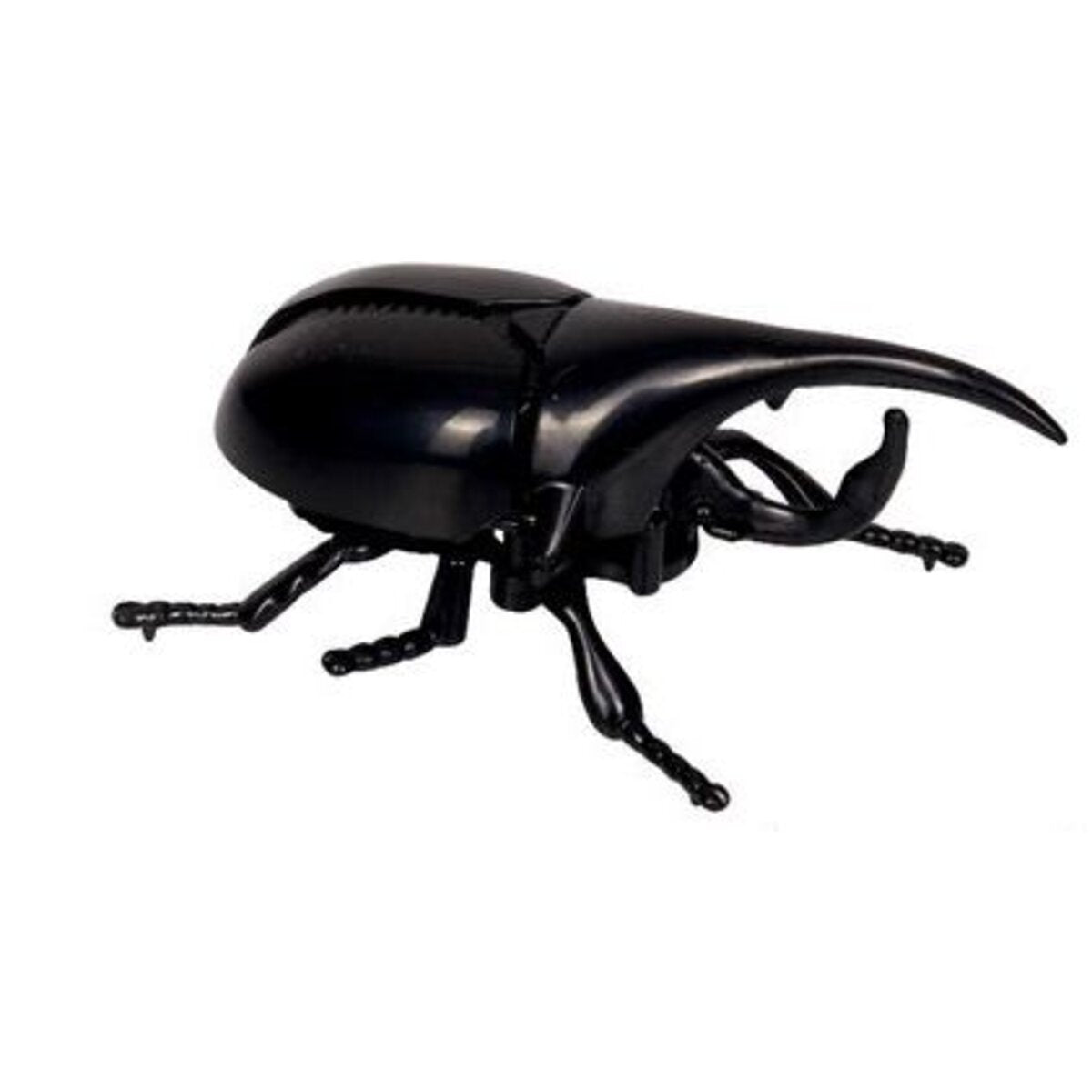 die-spiegelburg-renn-kaefer--09A301143.jpg