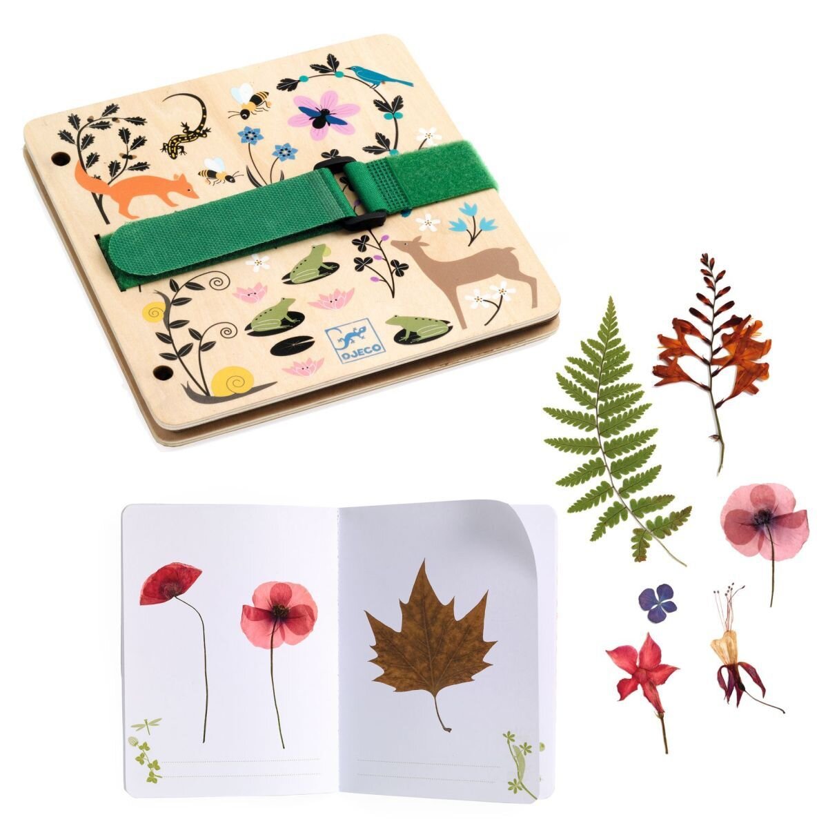 Djeco DIY: Pflanzenpresse & Herbarium