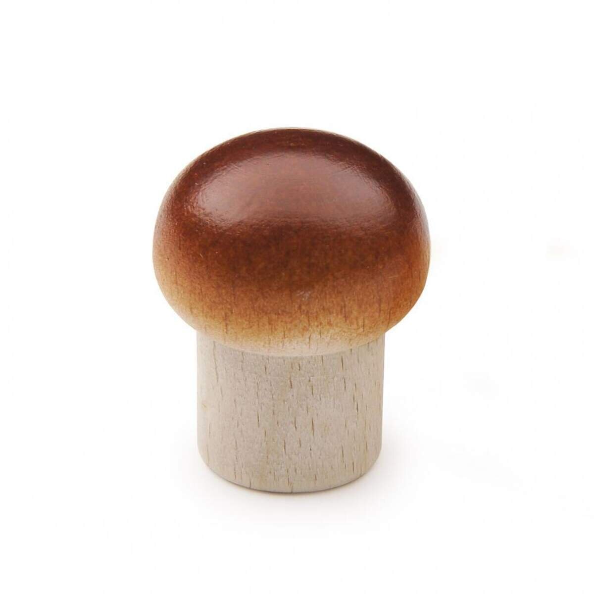 erzi-champignon-D5CE56921.jpg