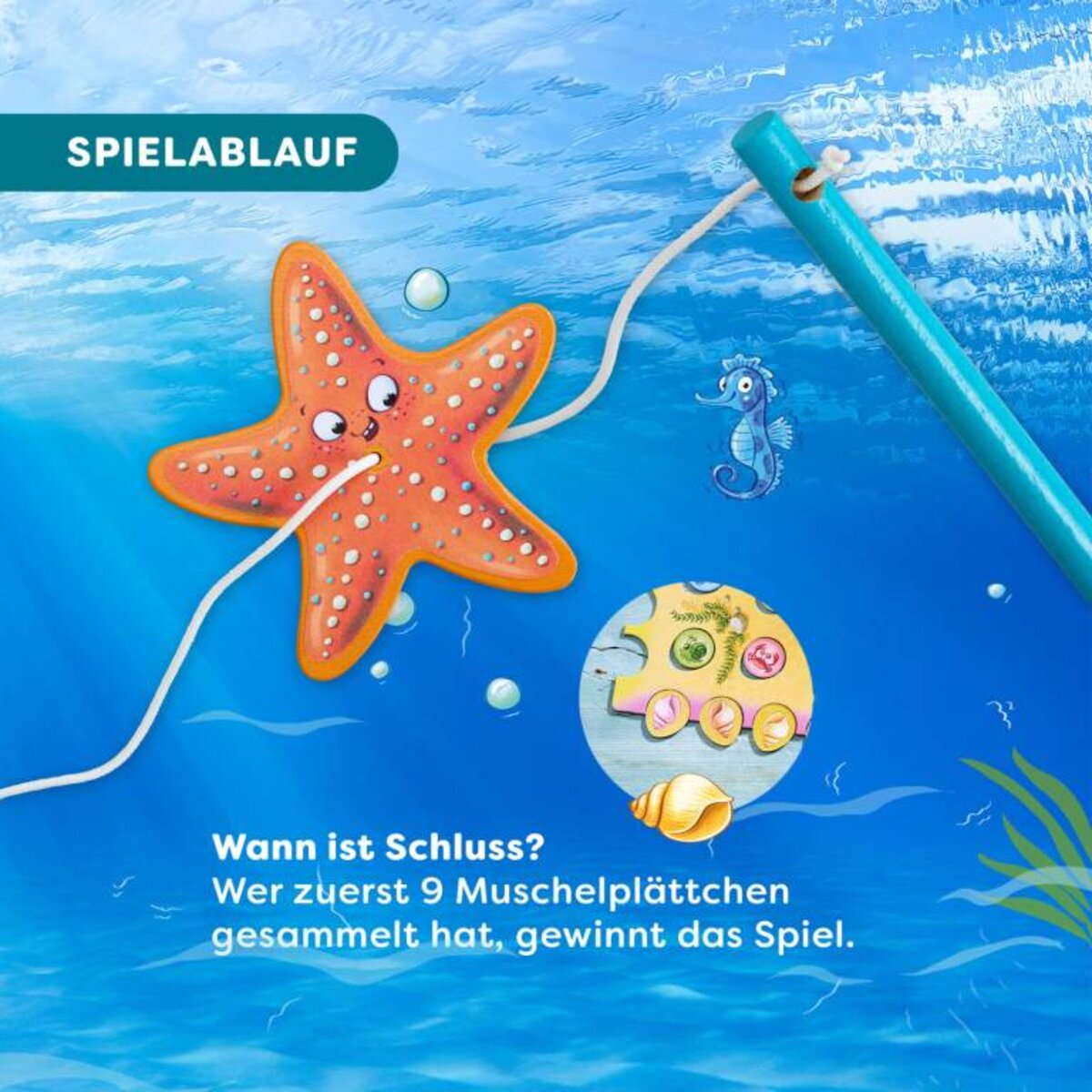 haba-sebastian-seestern-wuerfeln-angeln-1ED1B1D54.jpg
