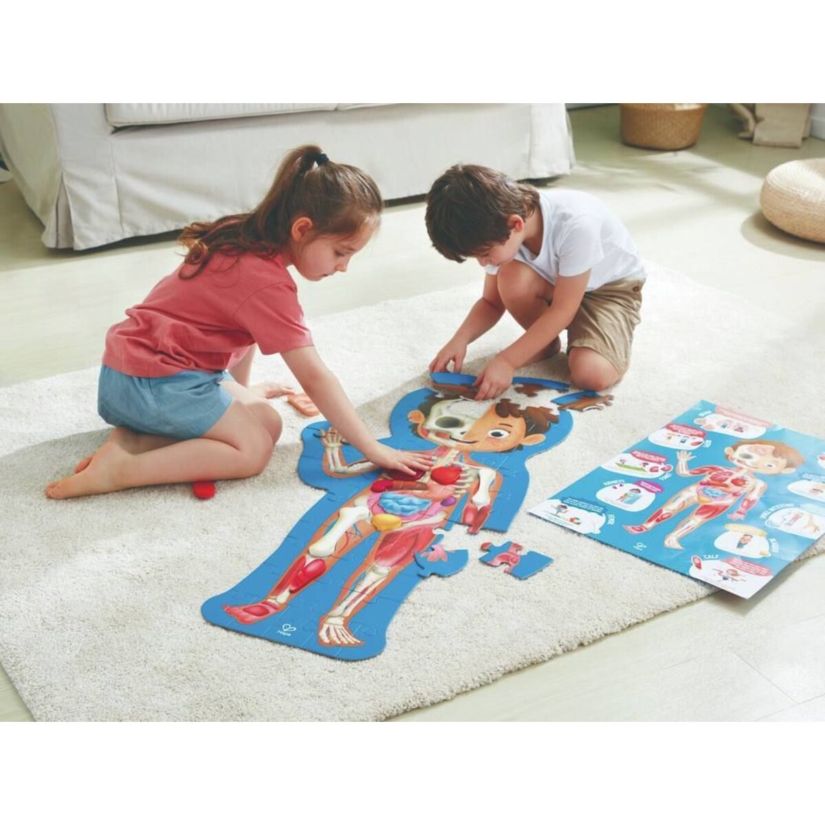 hape-puzzle-mein-koerper-C120FCFE3.jpg