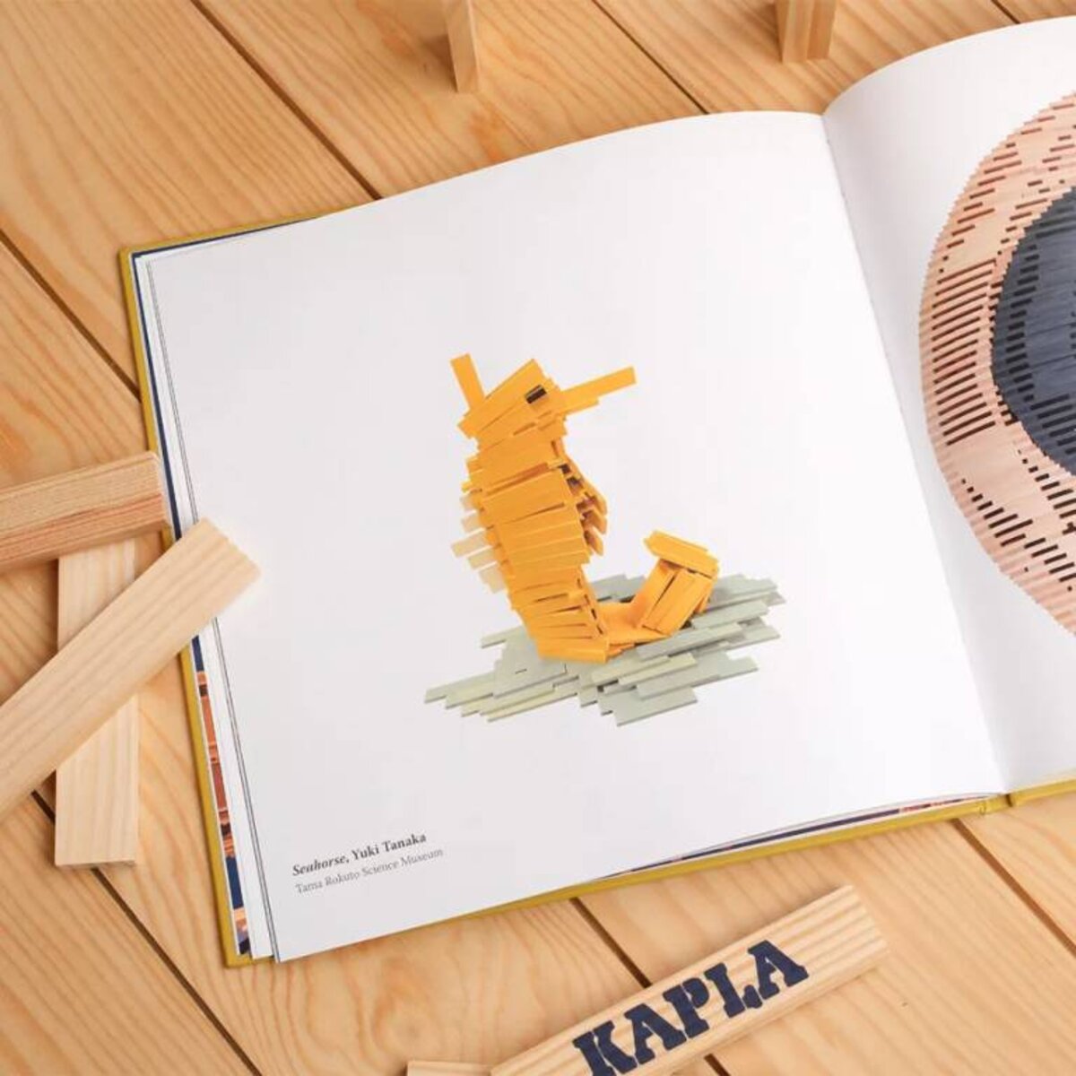 kapla-buch-best-of-kapla-9933D6C53.jpg