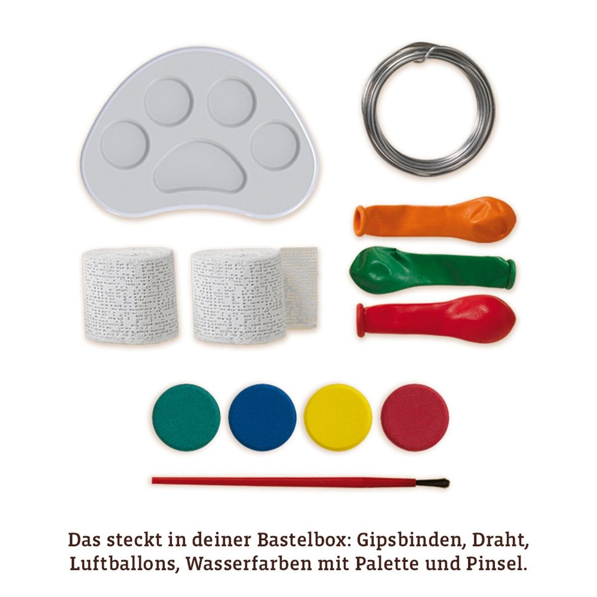 KOSMOS AllesKönnerKiste - Gips Skulptur