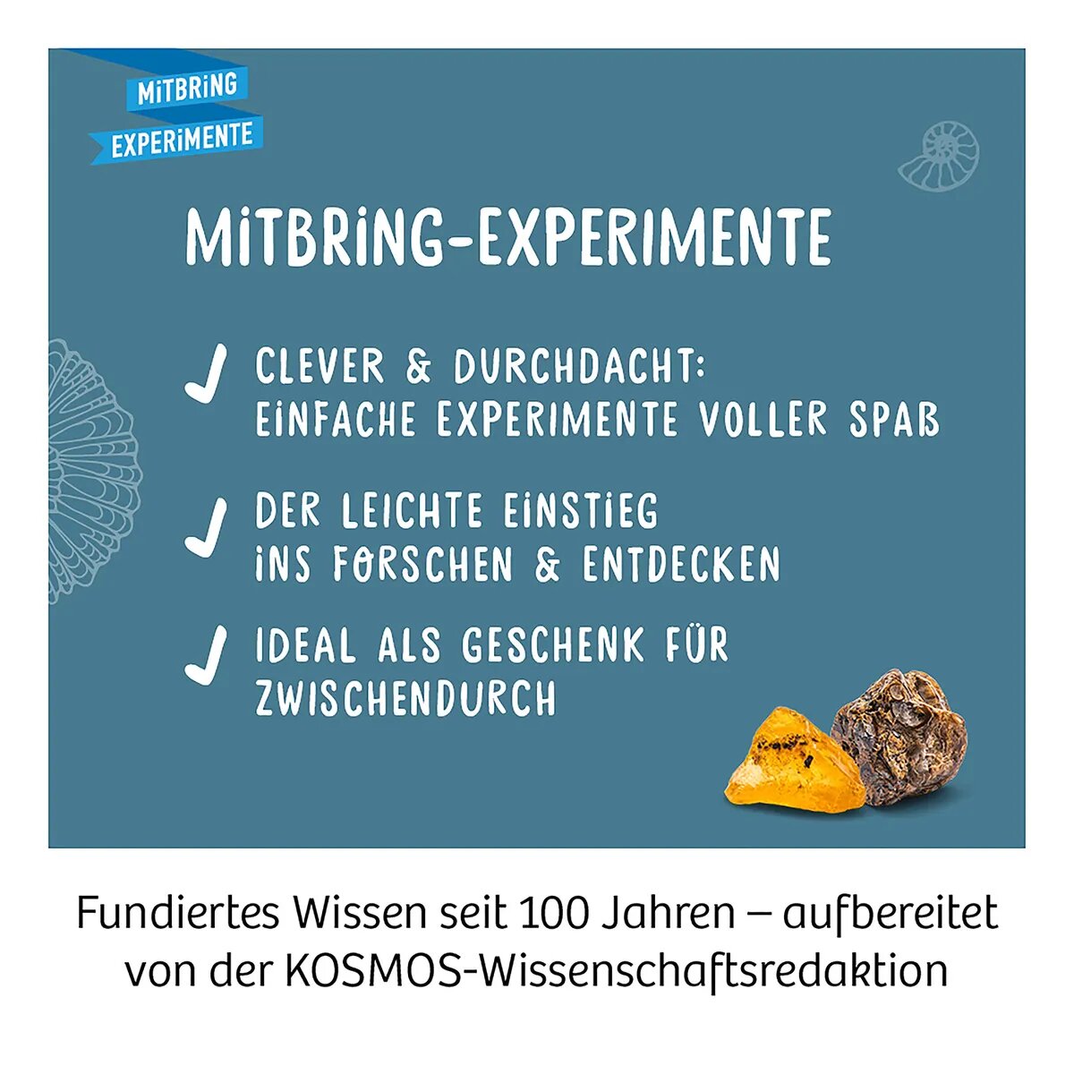 kosmos-fossilien-ausgrabungs-set-C661E1474.jpg