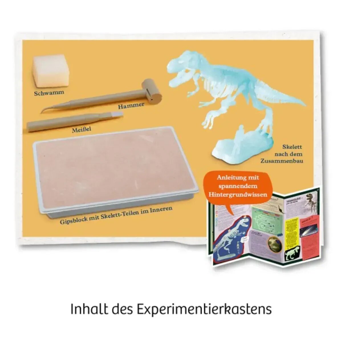 kosmos-t-rex-nachtleuchtend-ausgrabungs-7EB3F1D43.jpg