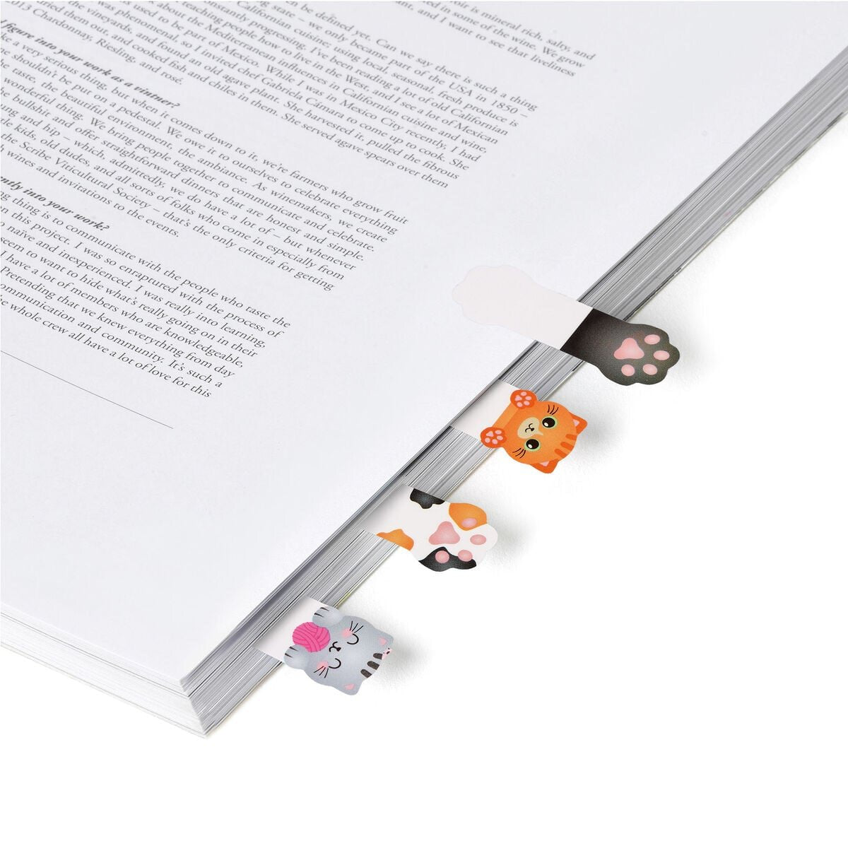legami-skn0002-selbstklebende-seitenmarkierungen-kitty-A8675AC63.jpg