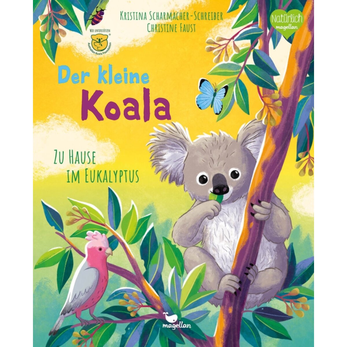 magellan-verlag-der-kleine-koala-E37365292.jpg