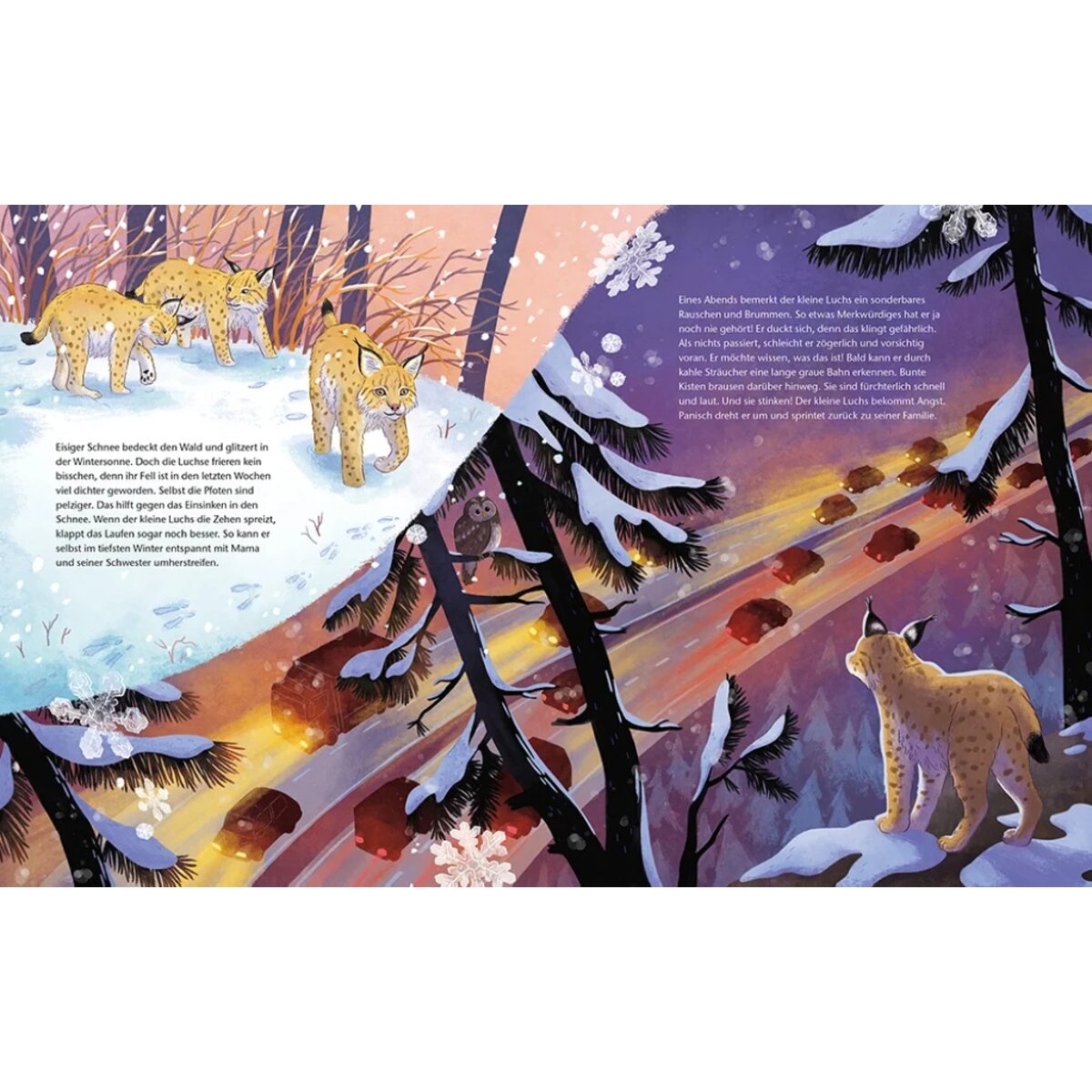 Magellan Verlag Der kleine Luchs - Zu Hause in den Wäldern Europas