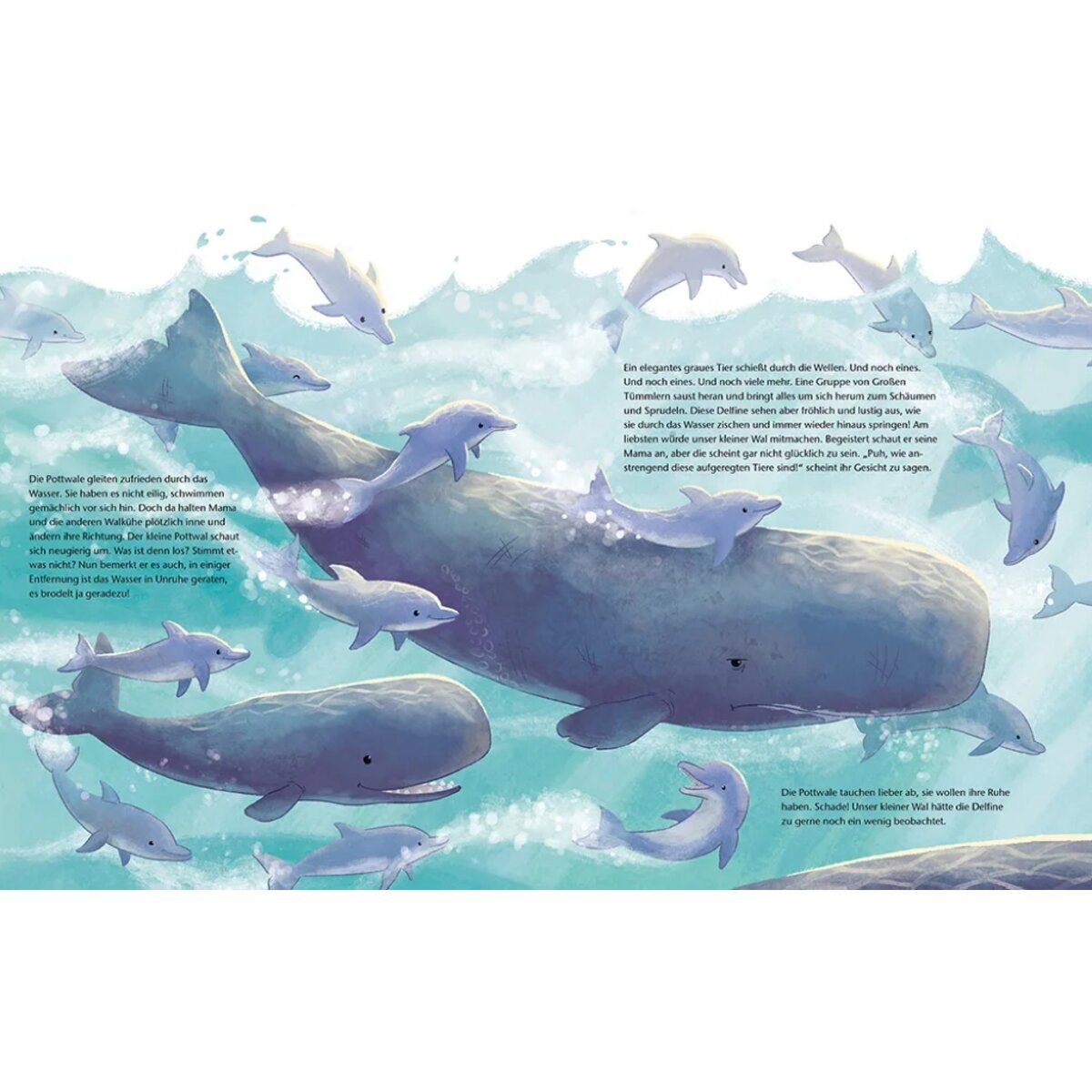 Magellan Verlag Der kleine Wal - Zu Hause im Ozean