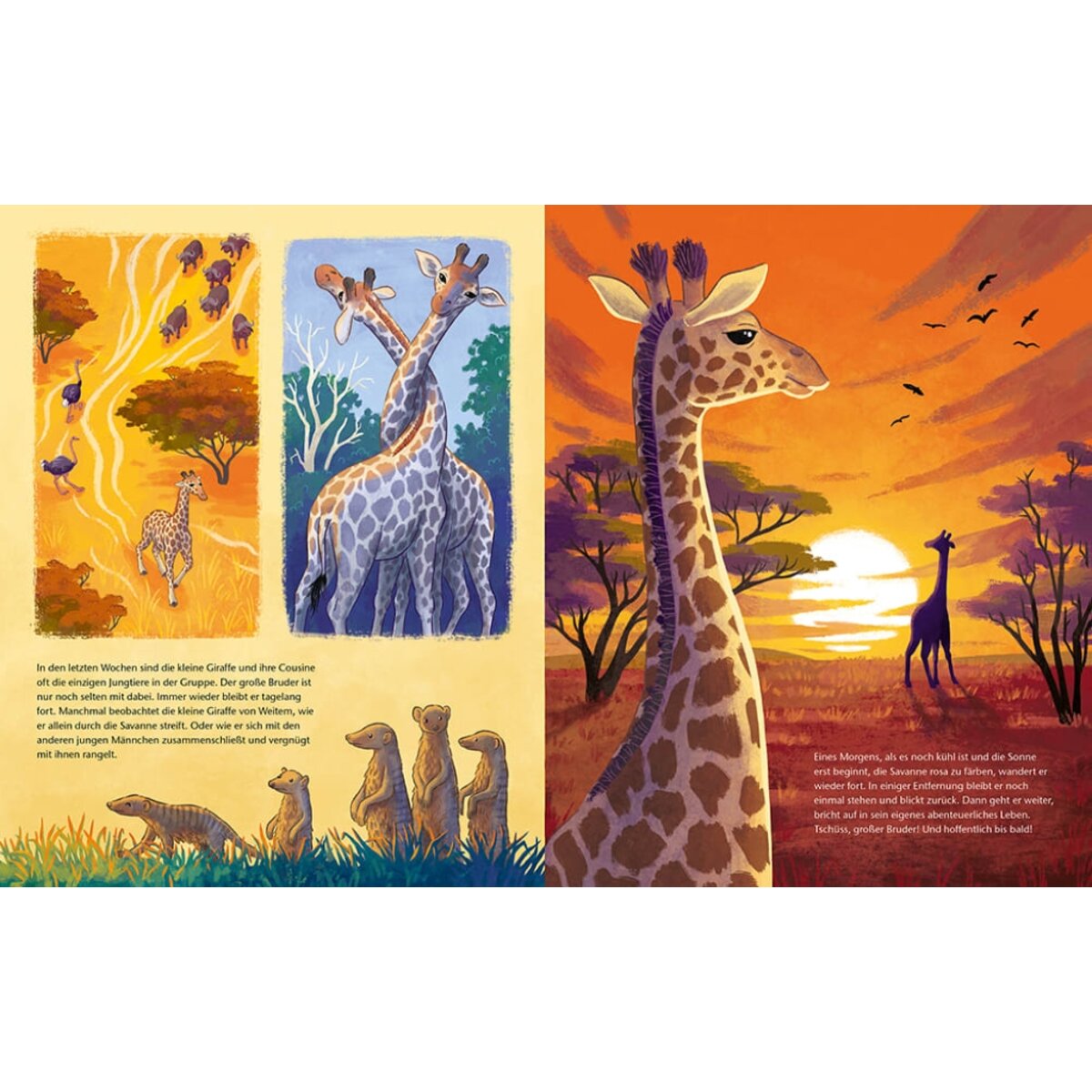 magellan-verlag-die-kleine-giraffe-E373142F3.jpg