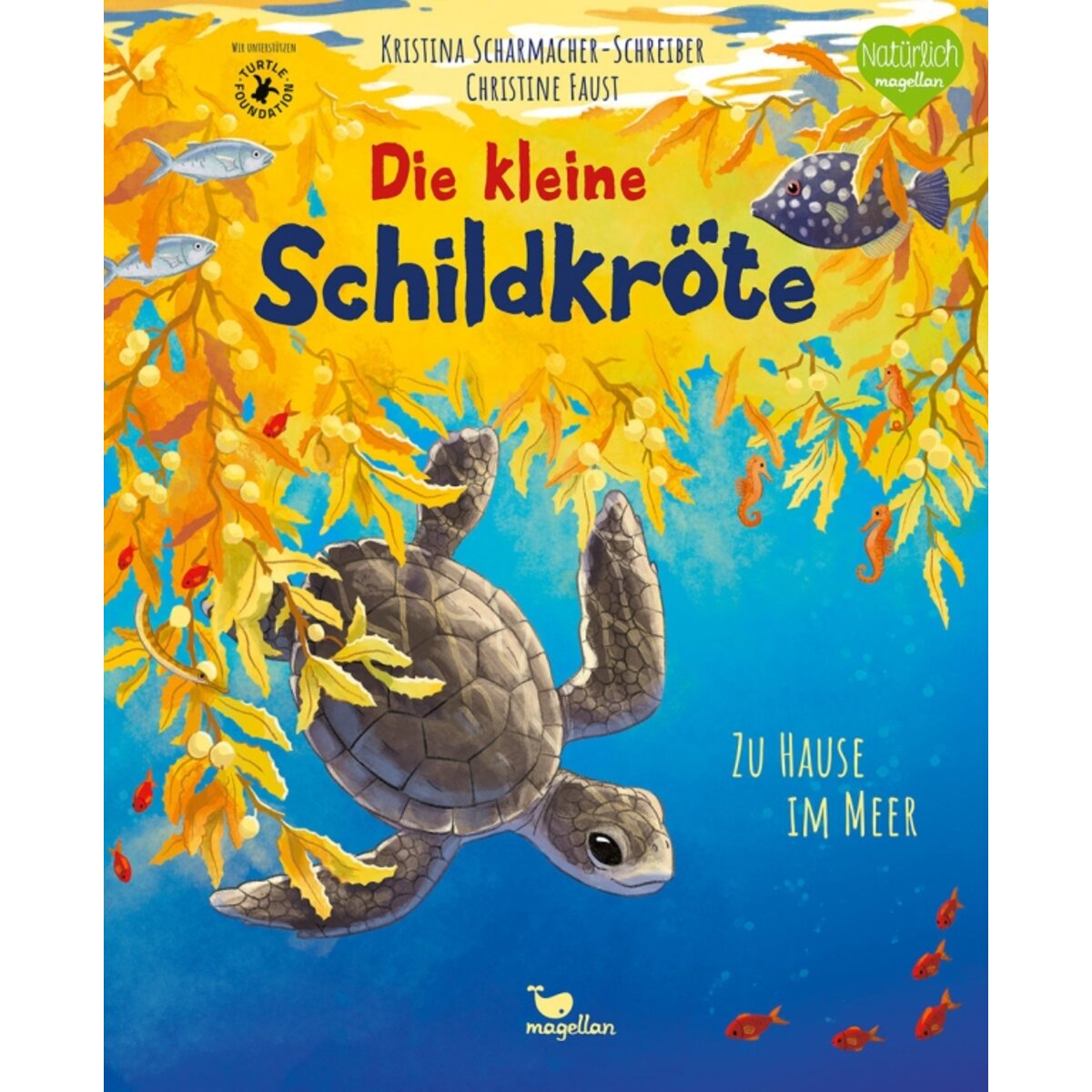 magellan-verlag-die-kleine-schildkroete-CE52A9D51.jpg