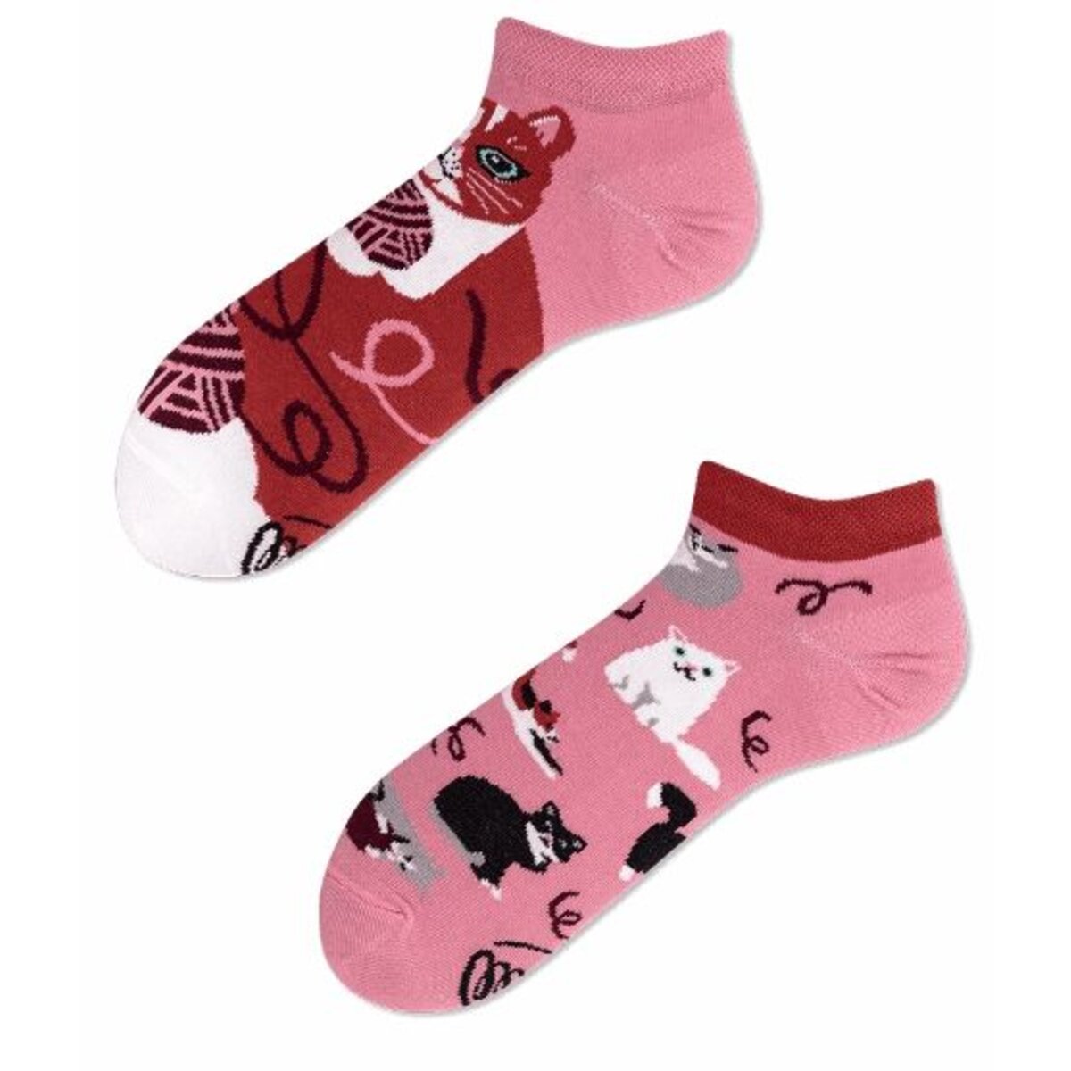 many-mornings-socken-playful-cat-DD68CB591.jpg