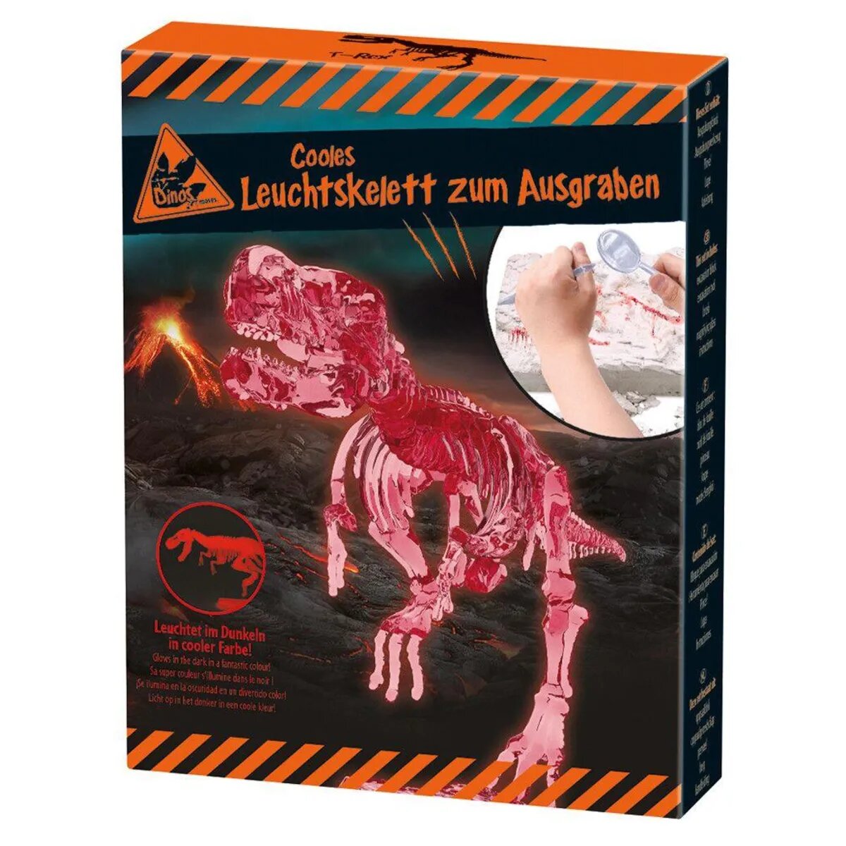 moses-cooles-leuchtskelett-zum-ausgraben-60CE7C091.jpg