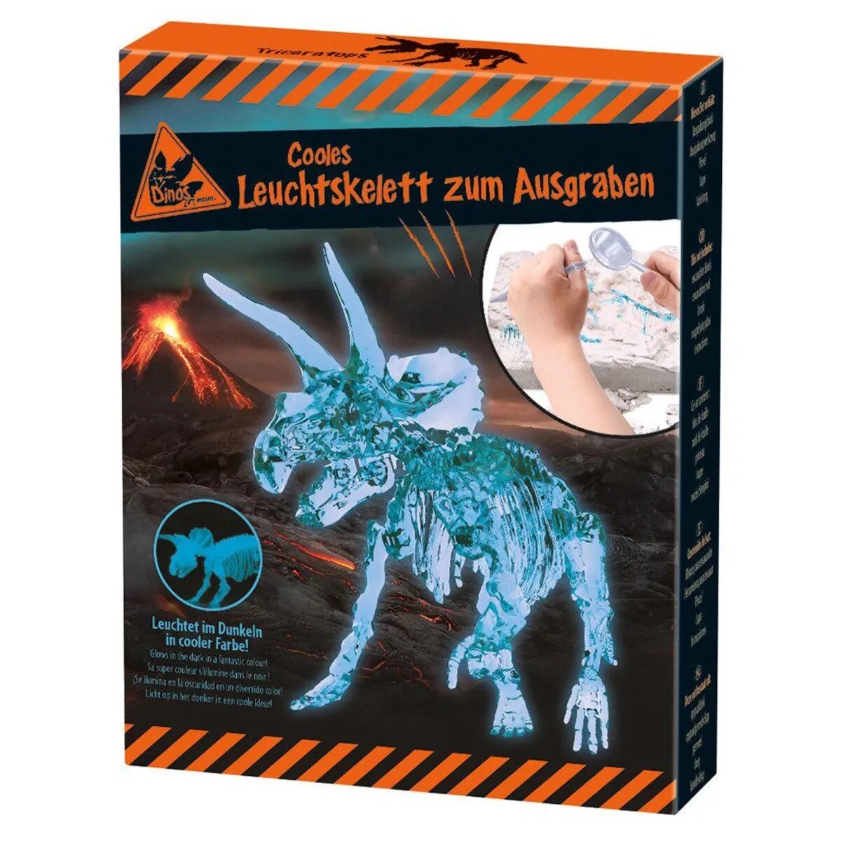 moses-cooles-leuchtskelett-zum-ausgraben-60CE7C092.jpg