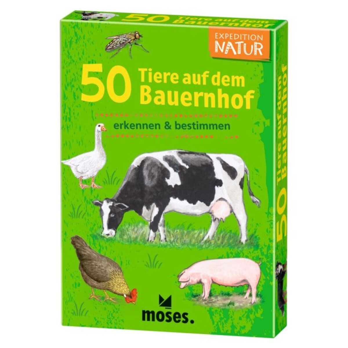 moses-expedition-natur---F70E4F7D1.jpg