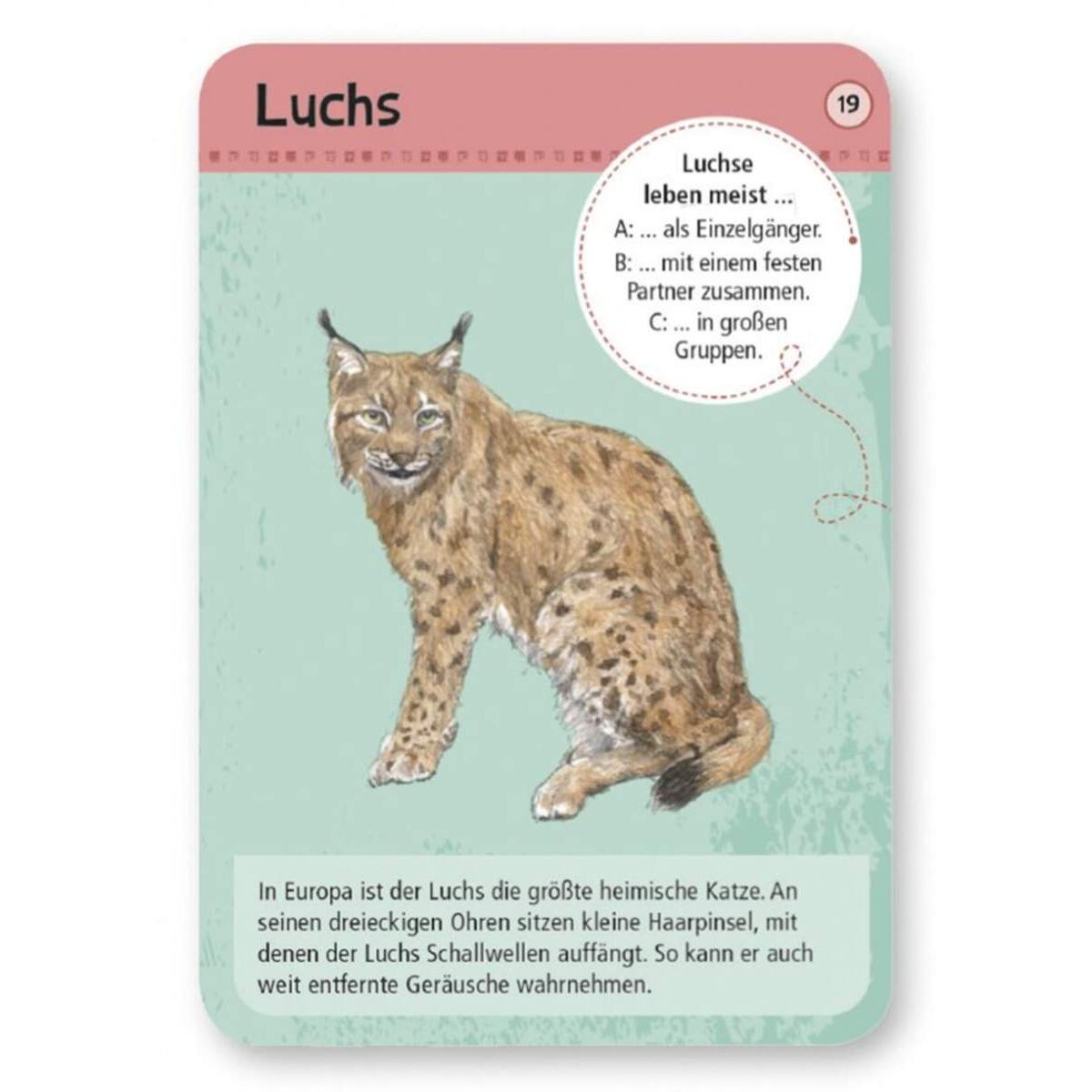 moses. Expedition Natur 50 heimische Wald- & Wildtiere