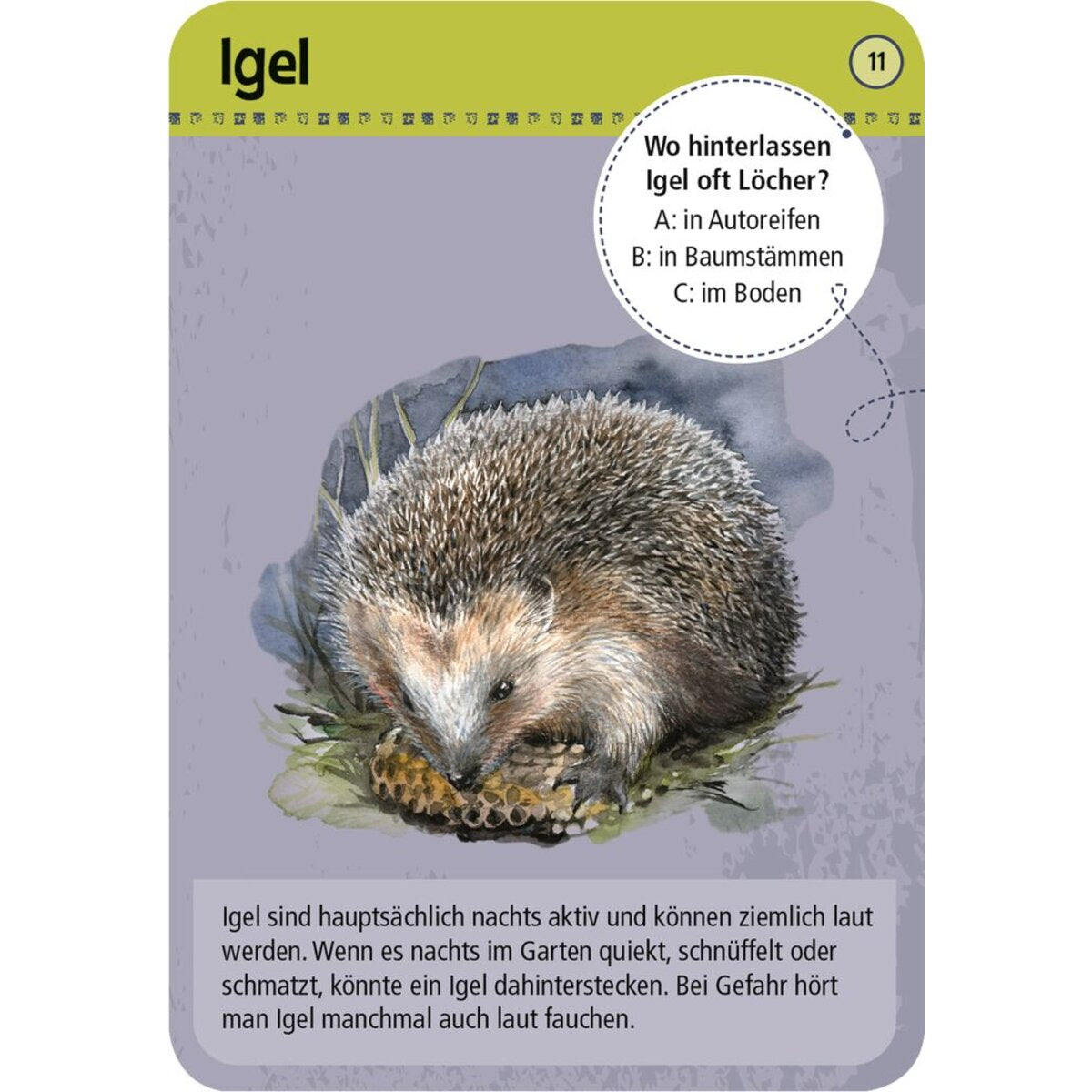 moses-expedition-natur-50-tiere-DD02B5342.jpg