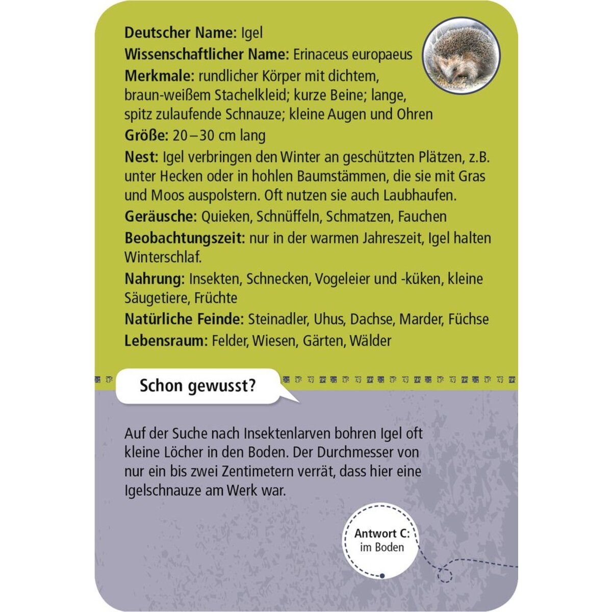 moses-expedition-natur-50-tiere-DD02B5343.jpg