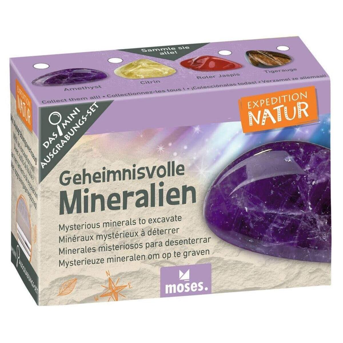 moses-expedition-natur-mini-ausgrabungsset-83281AC81.jpg