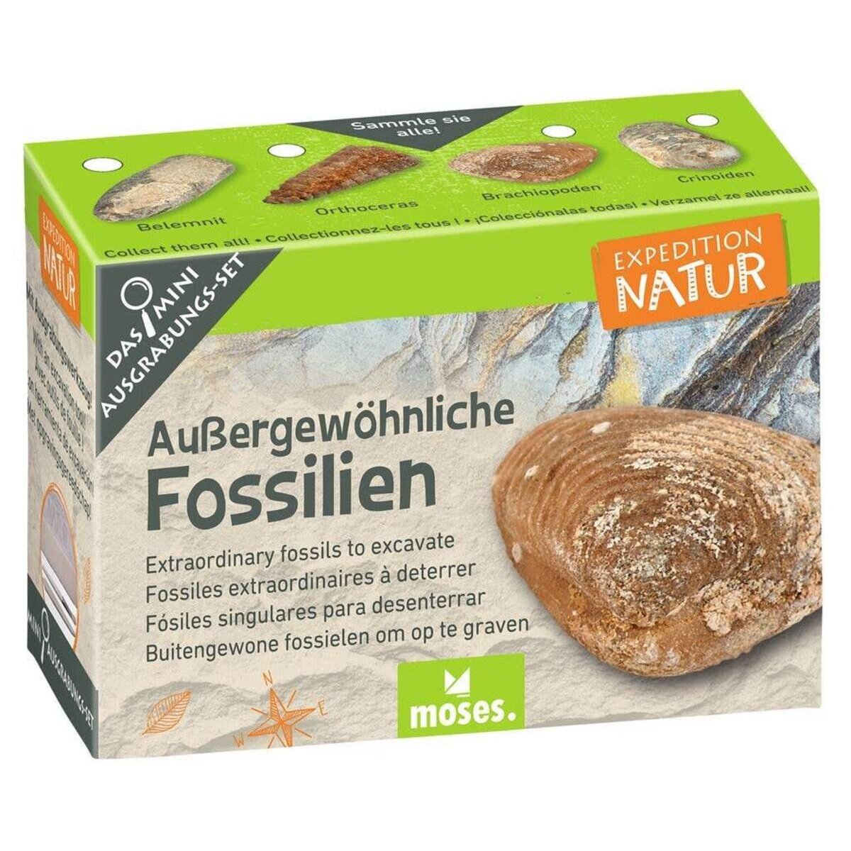 moses-expedition-natur-mini-ausgrabungsset-83281AC82.jpg