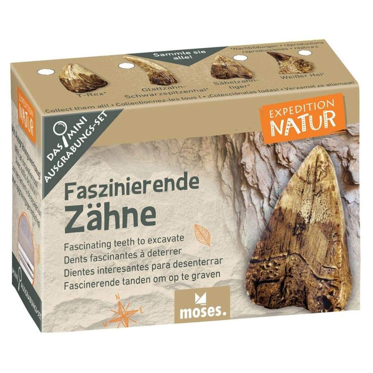moses-expedition-natur-mini-ausgrabungsset-83281AC86.jpg