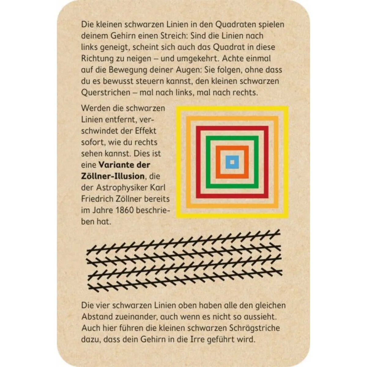 moses. PhänoMINT 75 supercoole optische Illusionen