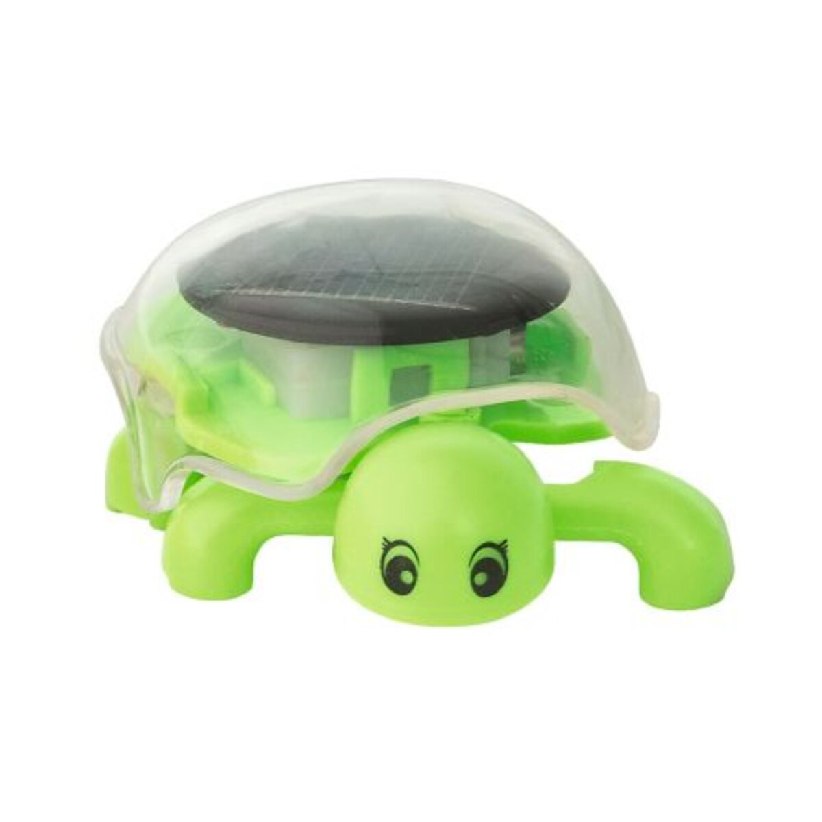 moses. PhänoMINT Solar-Schildkröte grün