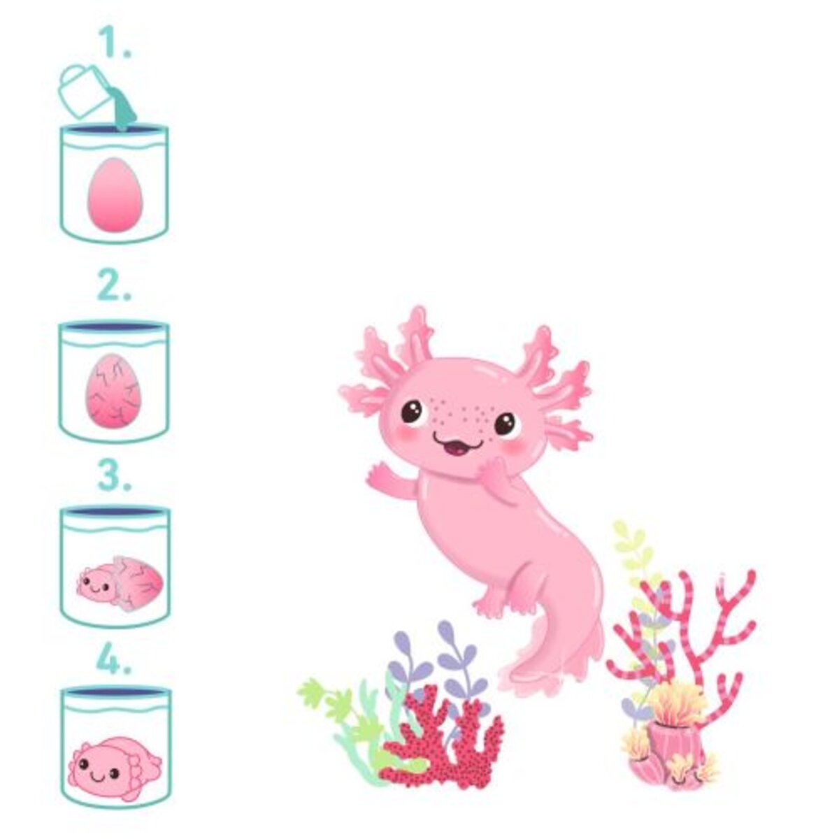 moses-schluepfender-axolotl-1-stueck-437BBFF72.jpg
