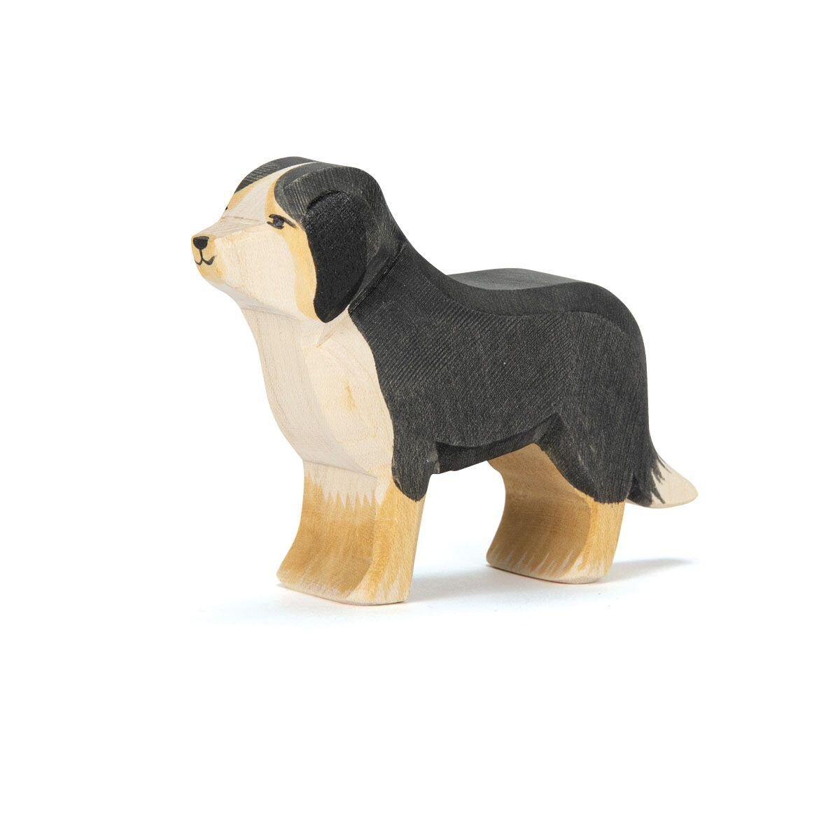 ostheimer-berner-sennenhund-38F5C8EE1.jpg