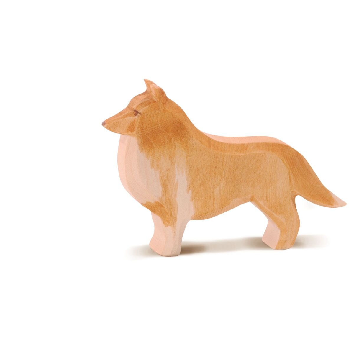 ostheimer-collie-D2441E001.jpg