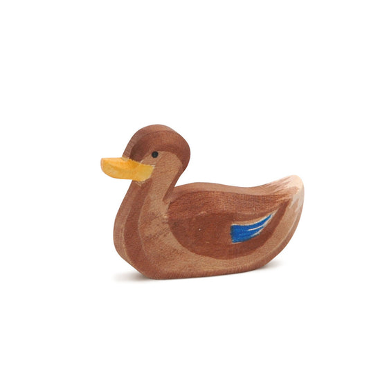 Ostheimer Ente schwimmend