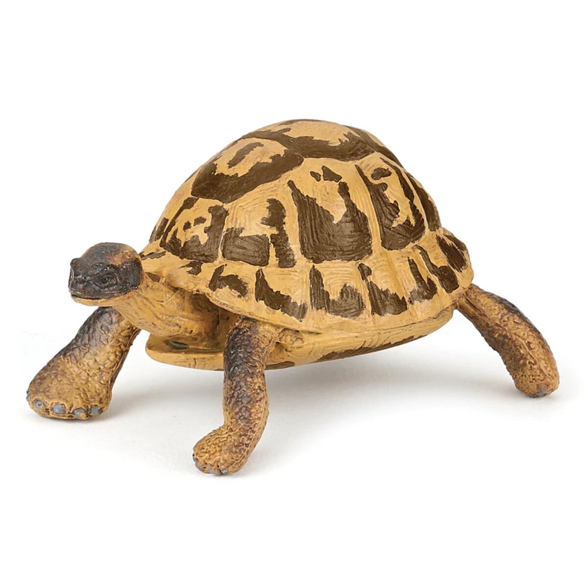 papo-50264-hermanns-schildkroetenfigur-75-F4990B6D1.jpg