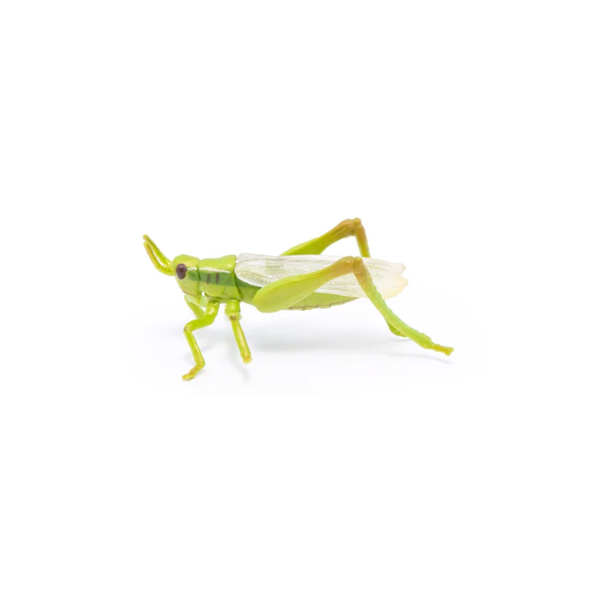 papo-50268-gartentiere-heuschreckenfigur-65-58844C192.jpg