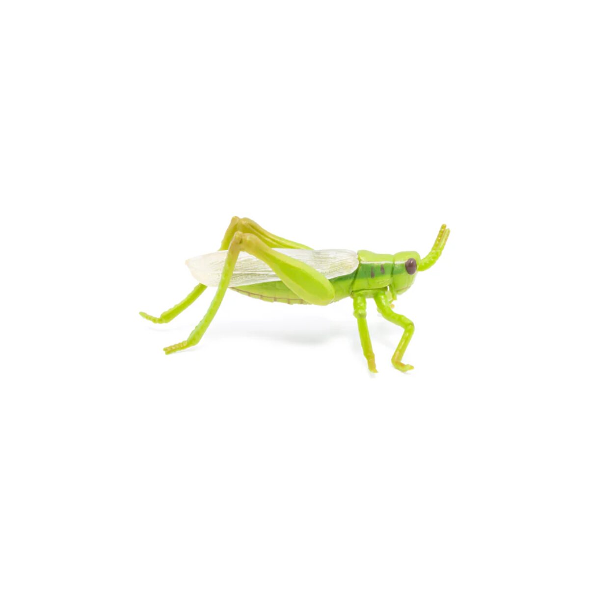 papo-50268-gartentiere-heuschreckenfigur-65-58844C195.jpg
