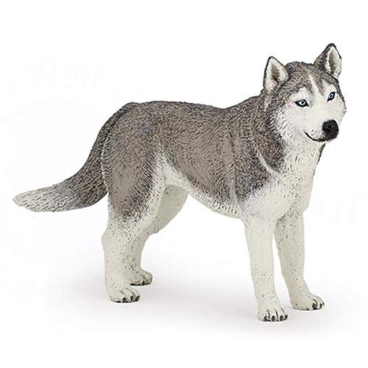 papo-54035-siberian-husky-7CB93D232.jpg