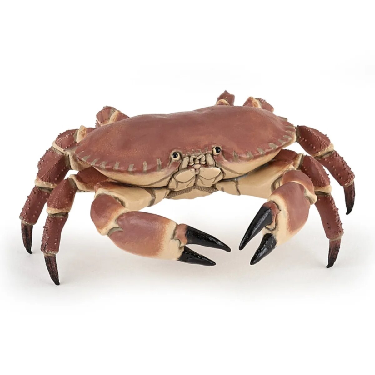 papo-56047-spielfigur-krabbe-25cm-C29159AE1.jpg