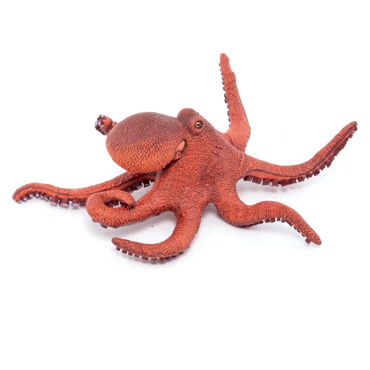 papo-56060-meeresuniversum-kleine-oktopus-59A4E23E1.jpg