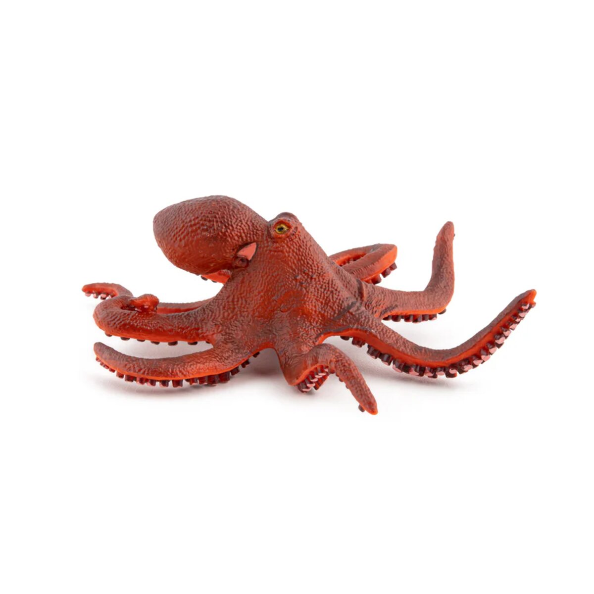 papo-56060-meeresuniversum-kleine-oktopus-59A4E23E2.jpg