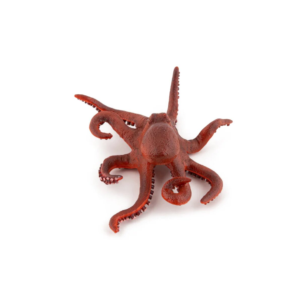 papo-56060-meeresuniversum-kleine-oktopus-59A4E23E3.jpg