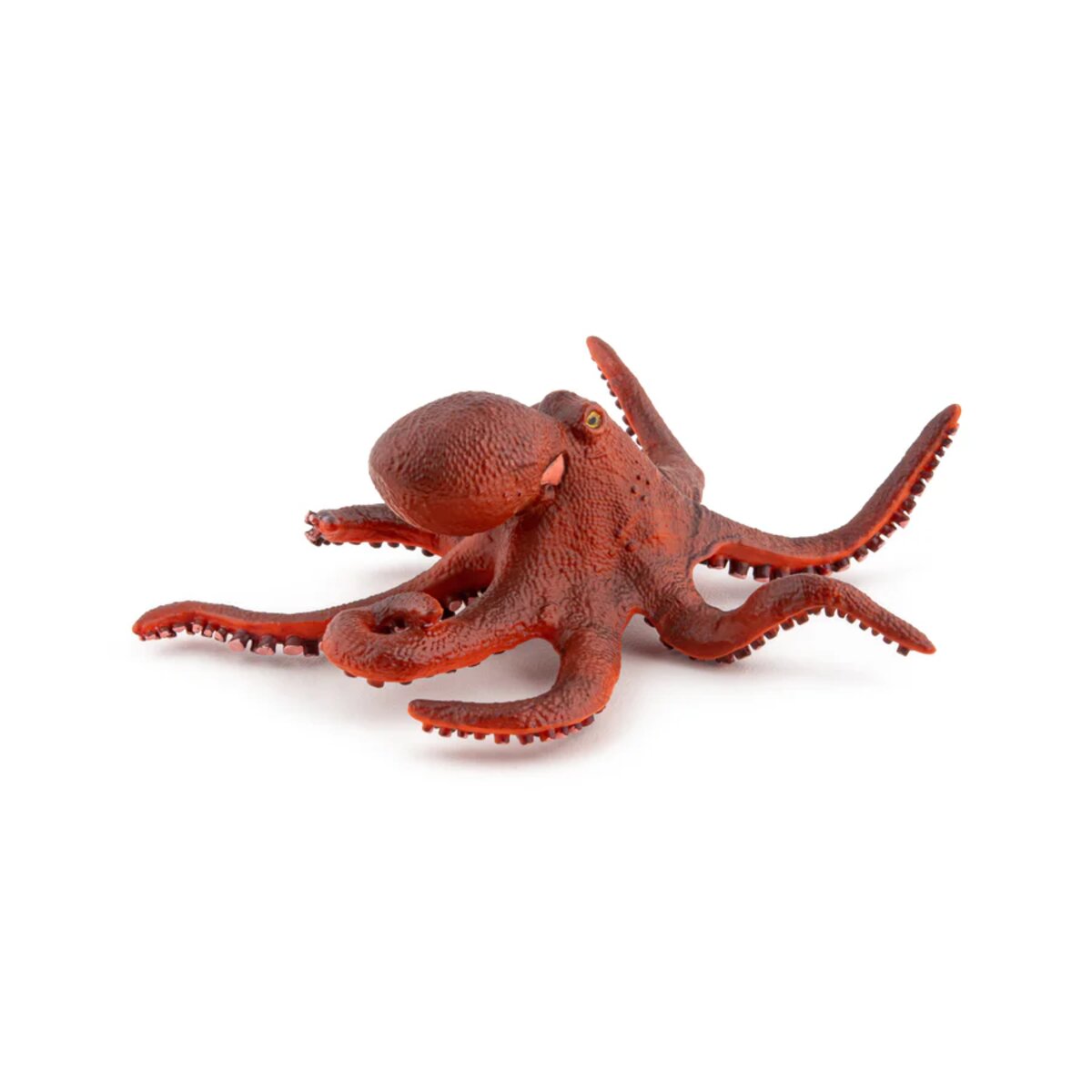papo-56060-meeresuniversum-kleine-oktopus-59A4E23E5.jpg
