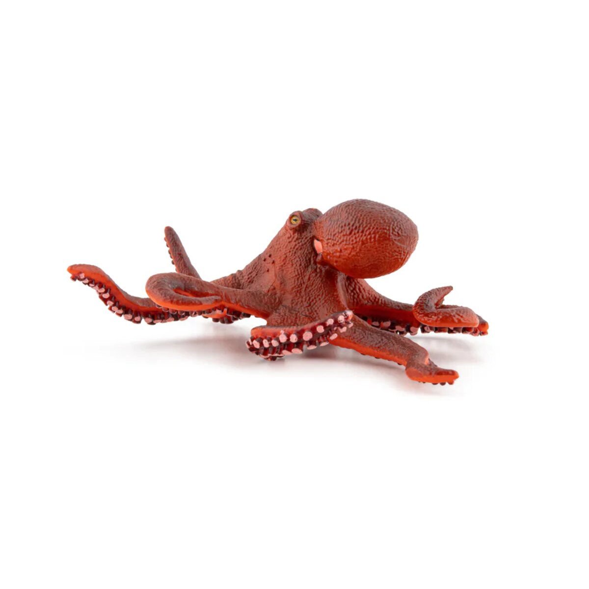 papo-56060-meeresuniversum-kleine-oktopus-59A4E23E6.jpg
