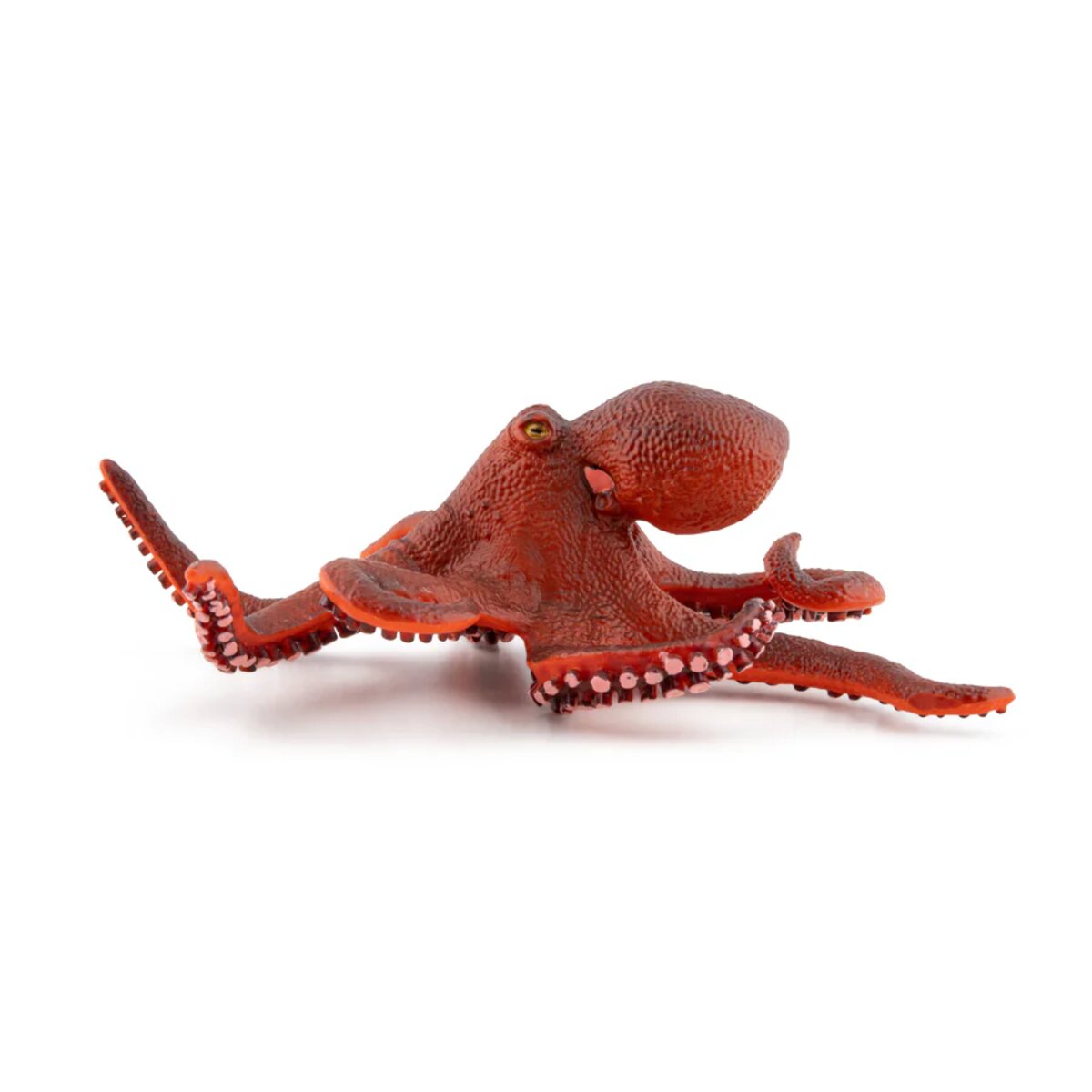 papo-56060-meeresuniversum-kleine-oktopus-59A4E23E7.jpg