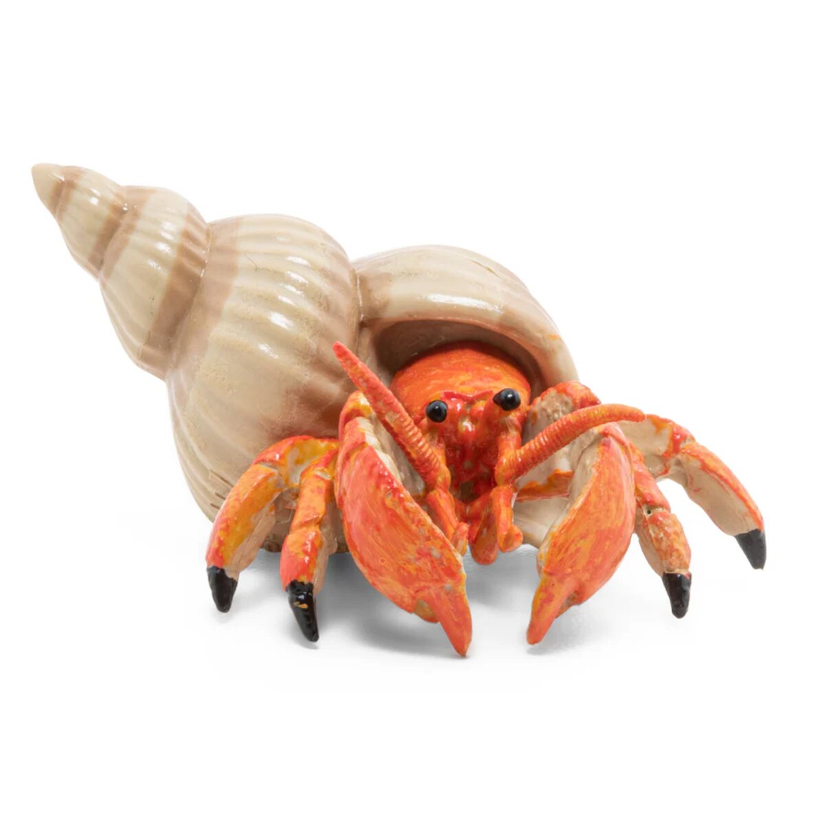 papo-meeresuniversum-einsiedlerkrebs-figur-61-80C5758F1.jpg