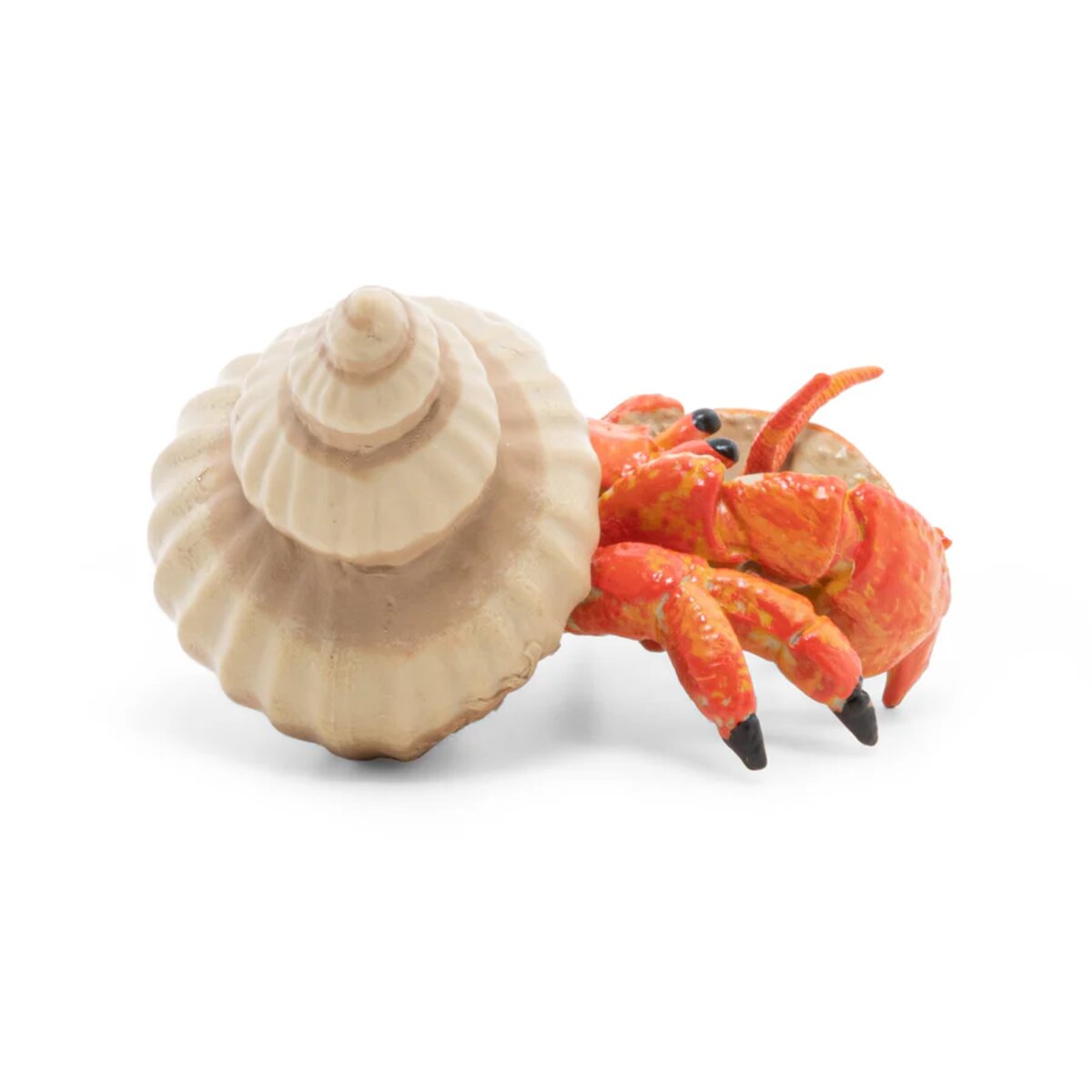 papo-meeresuniversum-einsiedlerkrebs-figur-61-80C5758F3.jpg